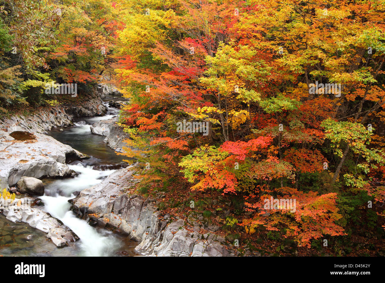 Autumn colours of Nakatsugawa valley in Fukushima, Japan Stock Photo