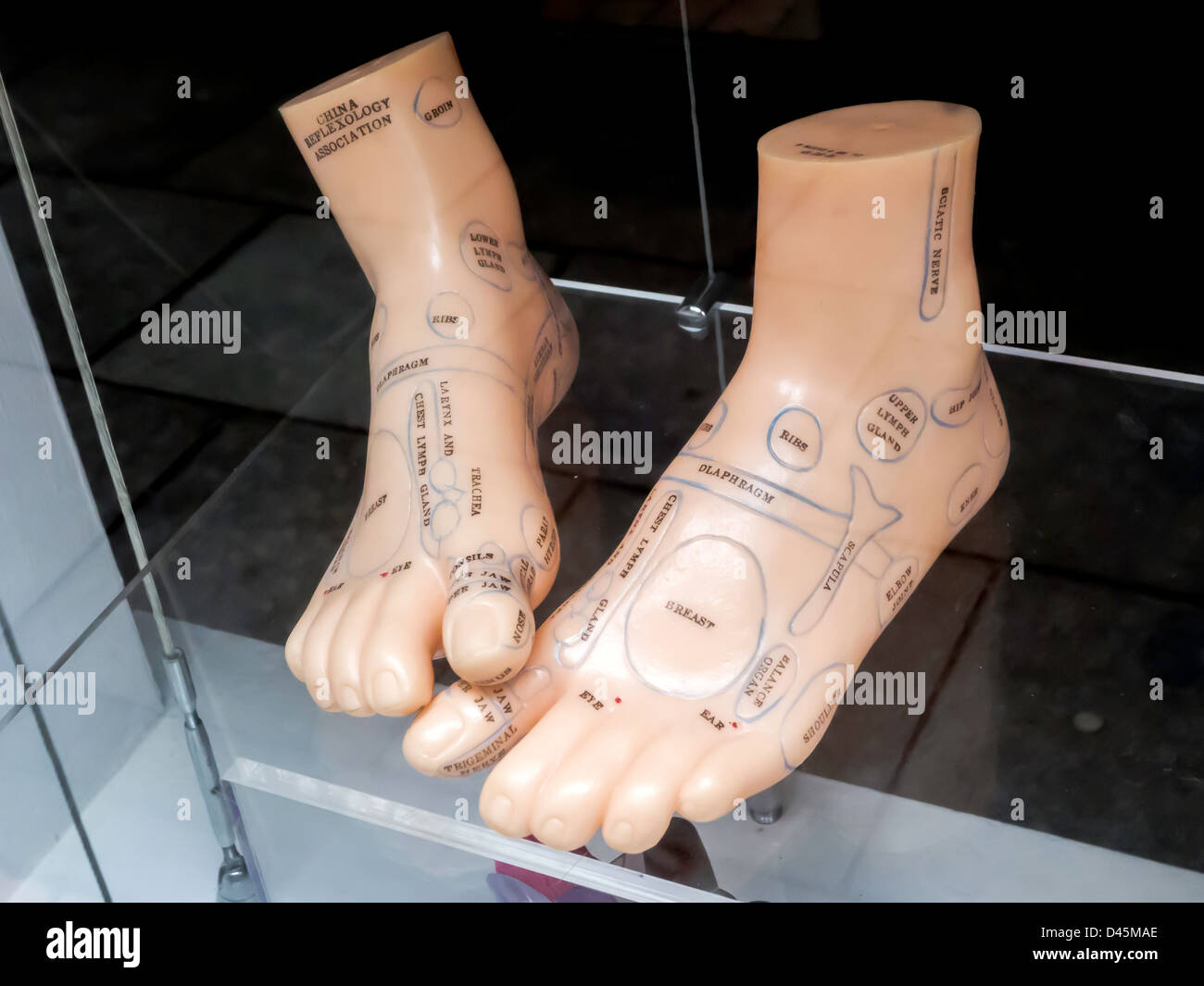 New 1 Pair Unisex Feet Mannequin Plastic Stand Socks Torso Dummy Part Foot Skin 