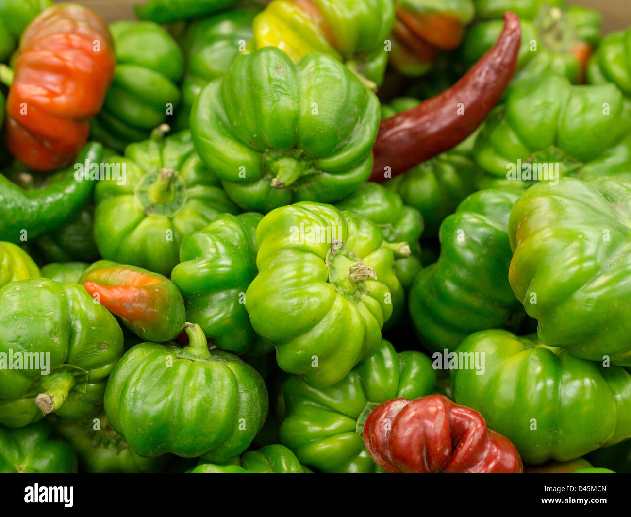 Peppers, mostly Green. A jumble of hot peppers some green some red