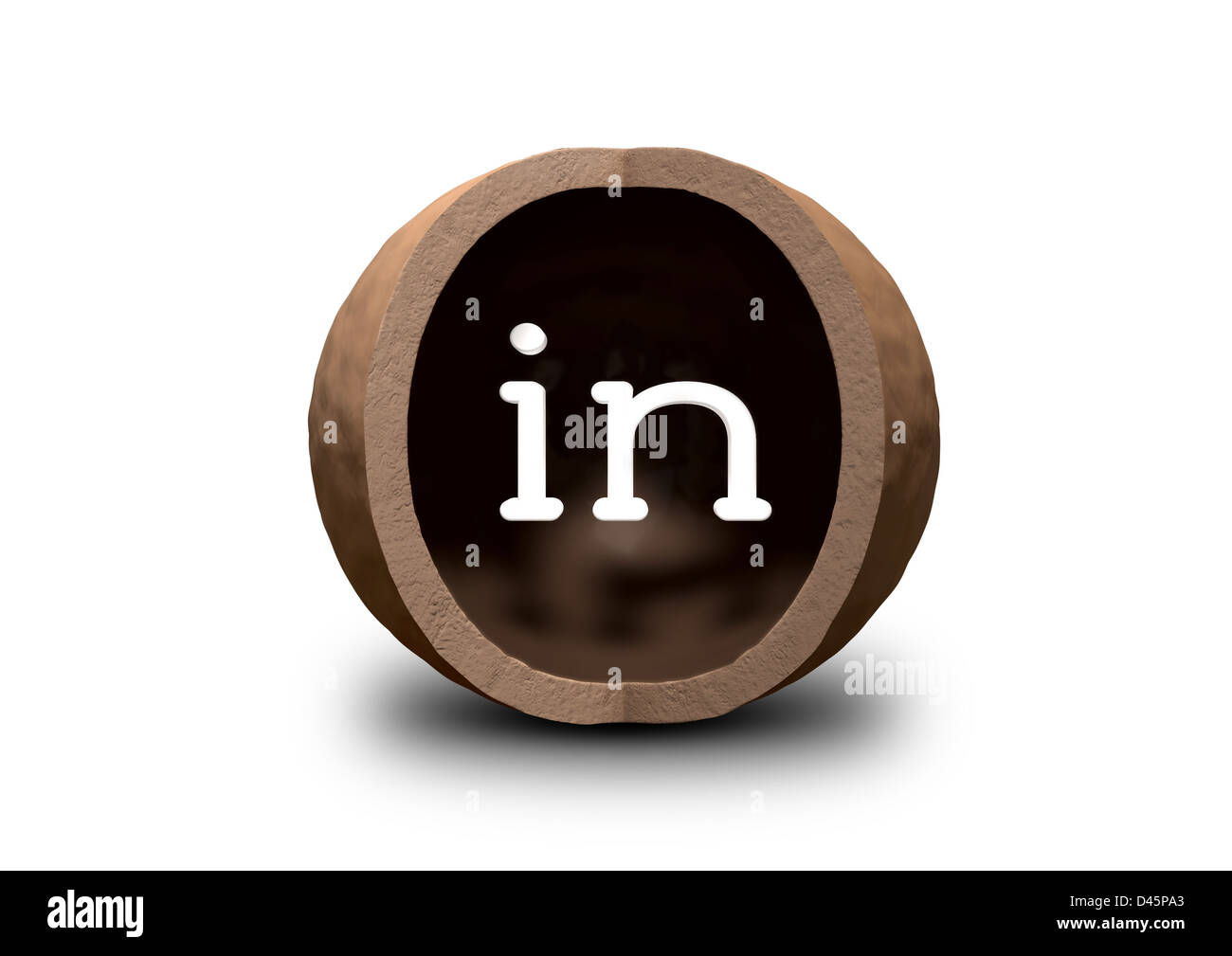 A hollowed out macadamia nut shell with a quarter segment cut away and the word in on the inside Stock Photo