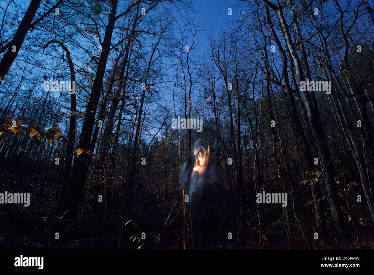 A long exposure ghosting, at night in a forest. Stock Photo