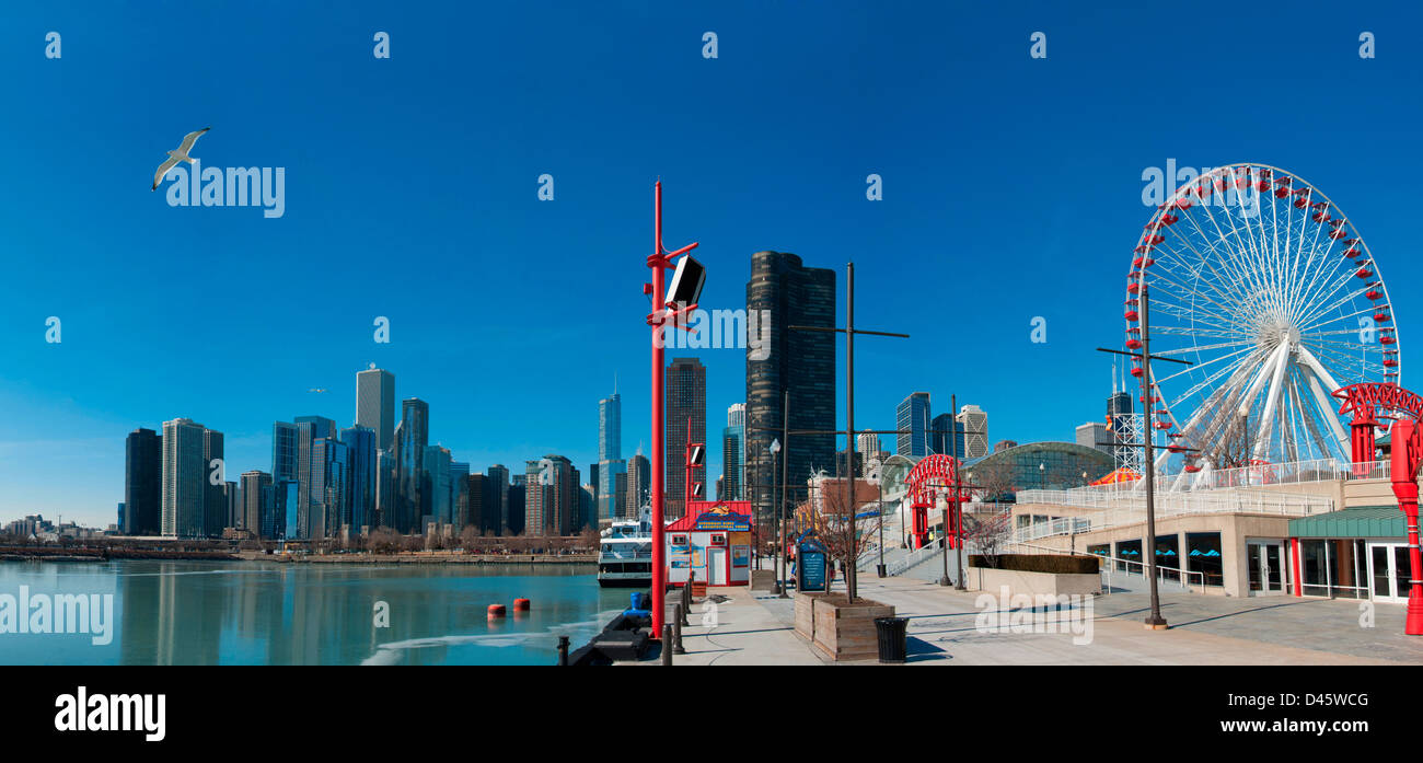 Chicago skyline seen from Navy Pier in February. Seagull flying on the left is a nice detail. Stock Photo