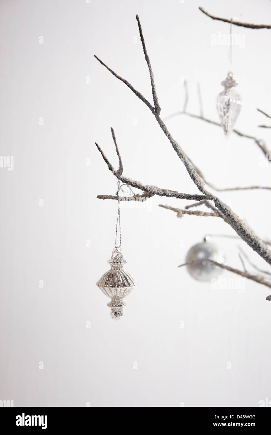 Christmas decoration on winter branches Stock Photo