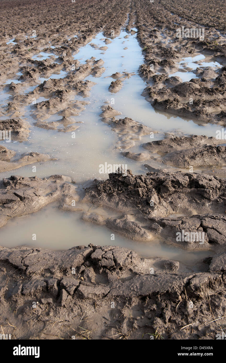 Ploughed land showing extreme waterlogging. Yorkshire, UK Stock Photo