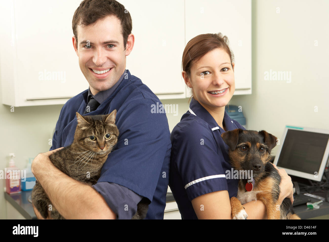 Male Veterinary Surgeon And Nurse Holding Cat And Dog In Surgery Stock Photo
