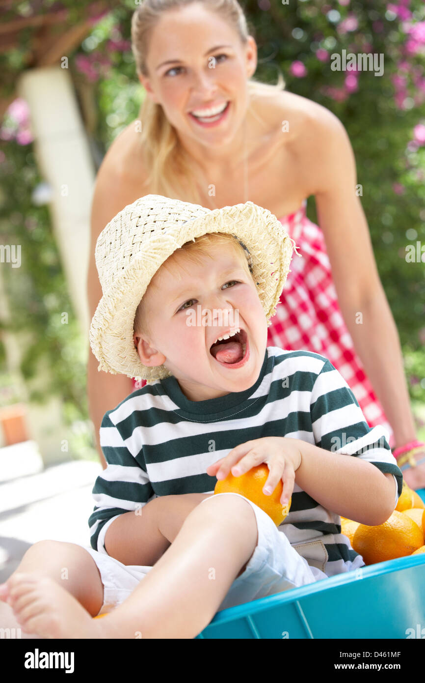 Boy Sitting In Wheelbarrow Filled With Oranges Stock Photo - Alamy