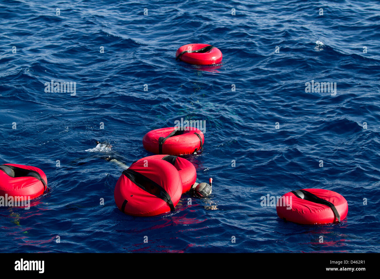 Staff sets up the diving platforms, red safety floats, dive lines, and