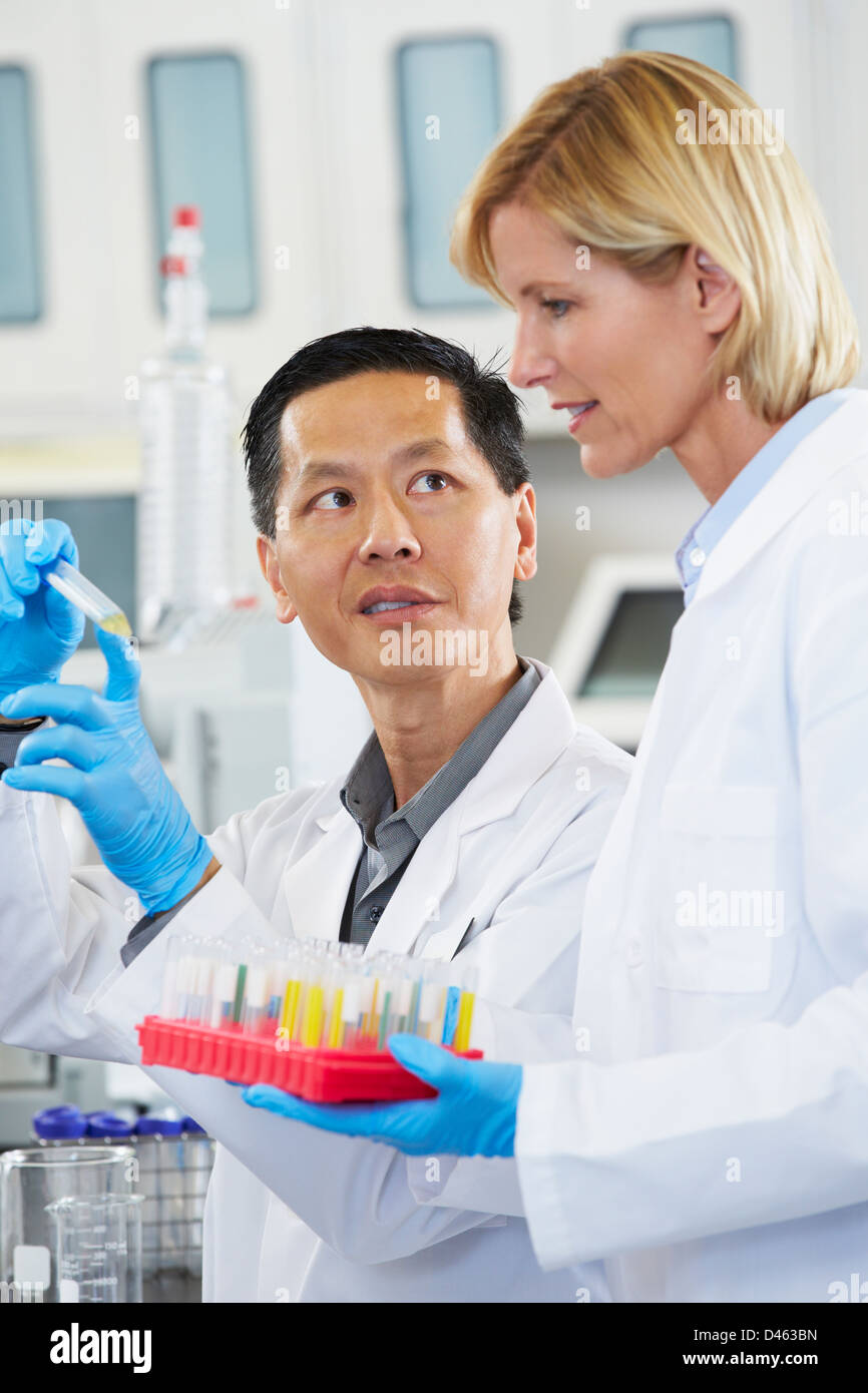 Male And Female Scientists Working In Laboratory Stock Photo
