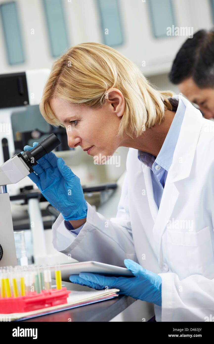 Female Scientist Using Tablet Computer In Laboratory Stock Photo