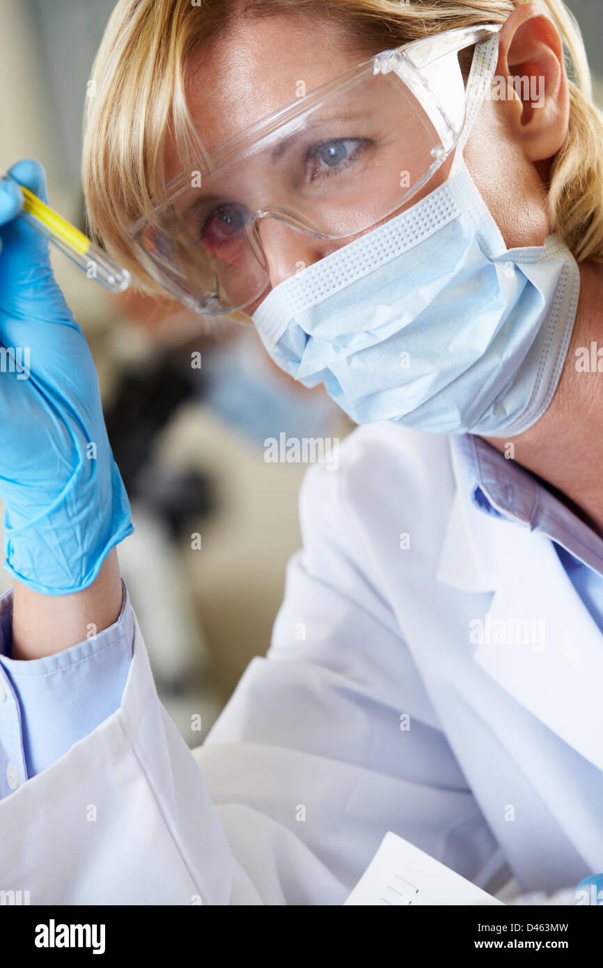 Female Scientist Studying Test Tube In Laboratory Stock Photo