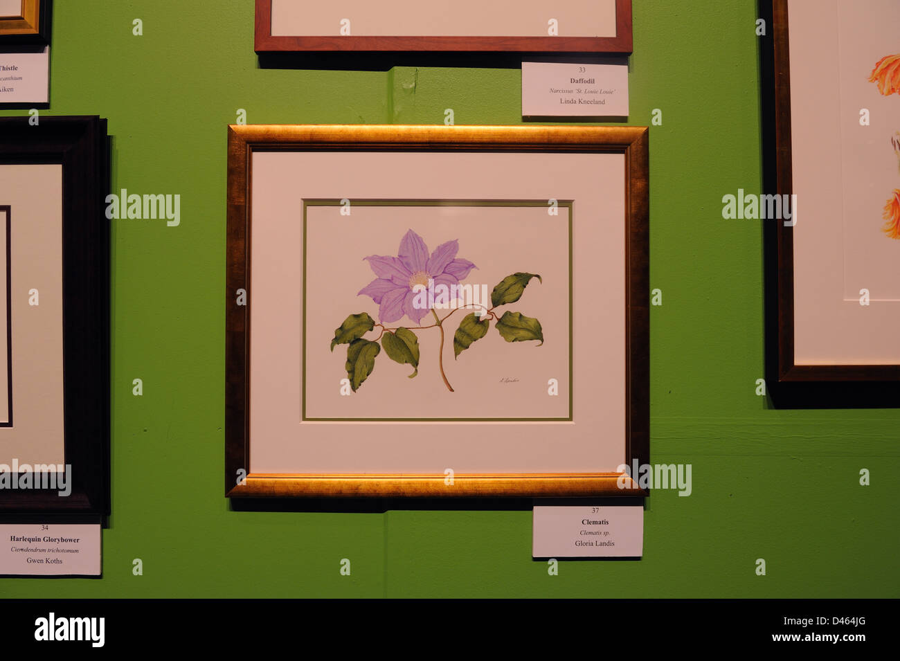 Botanical illustrations at the Philadelphia Flower Show, the largest indoor flower show in the world. Stock Photo