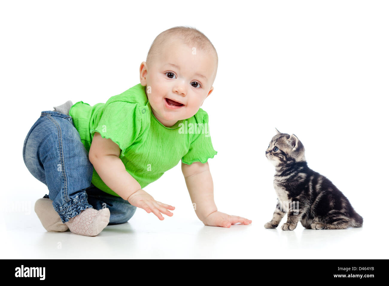 funny baby crawling to cute cat Stock Photo Alamy