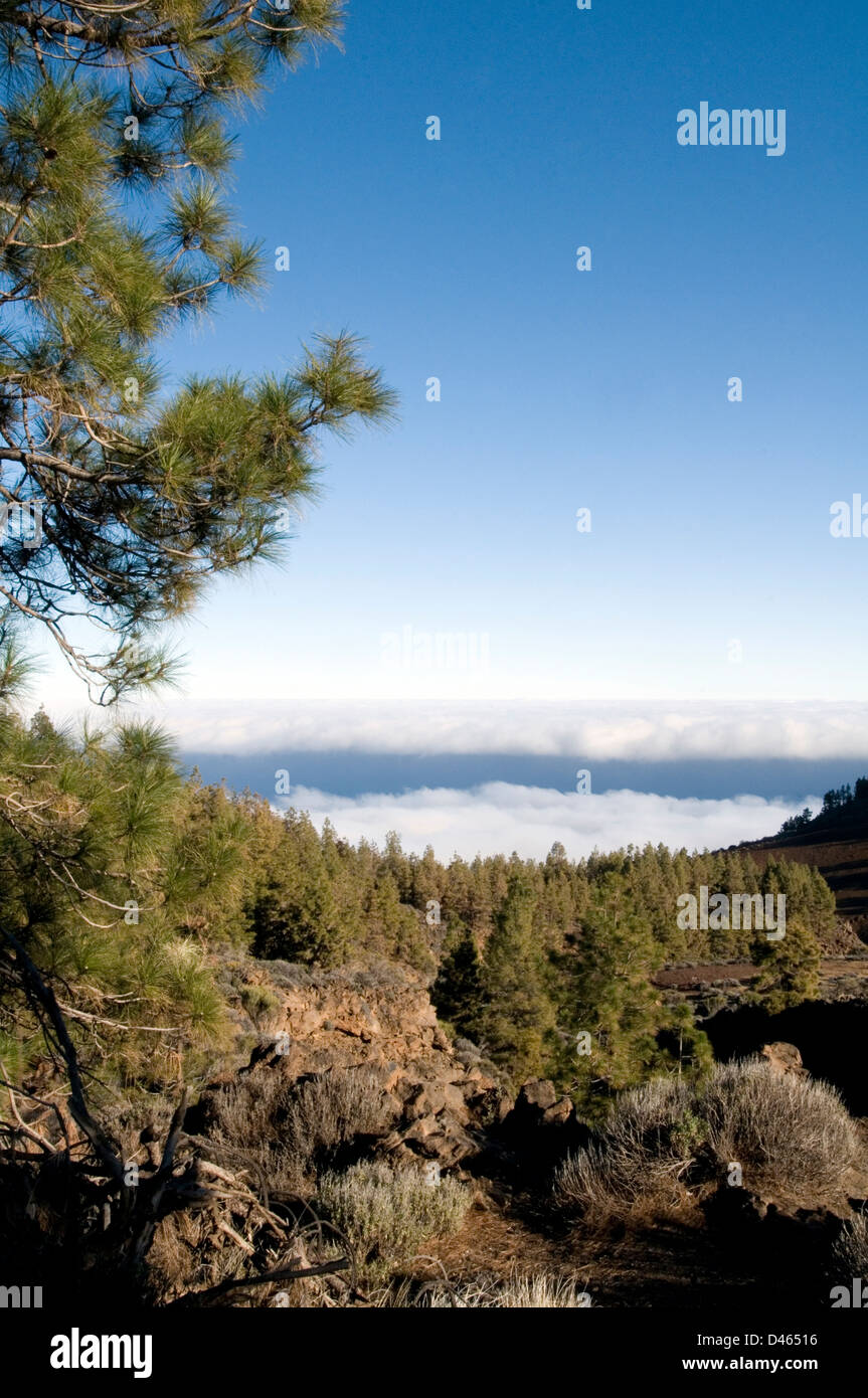 above the clouds looking viewing over down on the tenerife mount teide view views from the top of the mountain canary isles isla Stock Photo