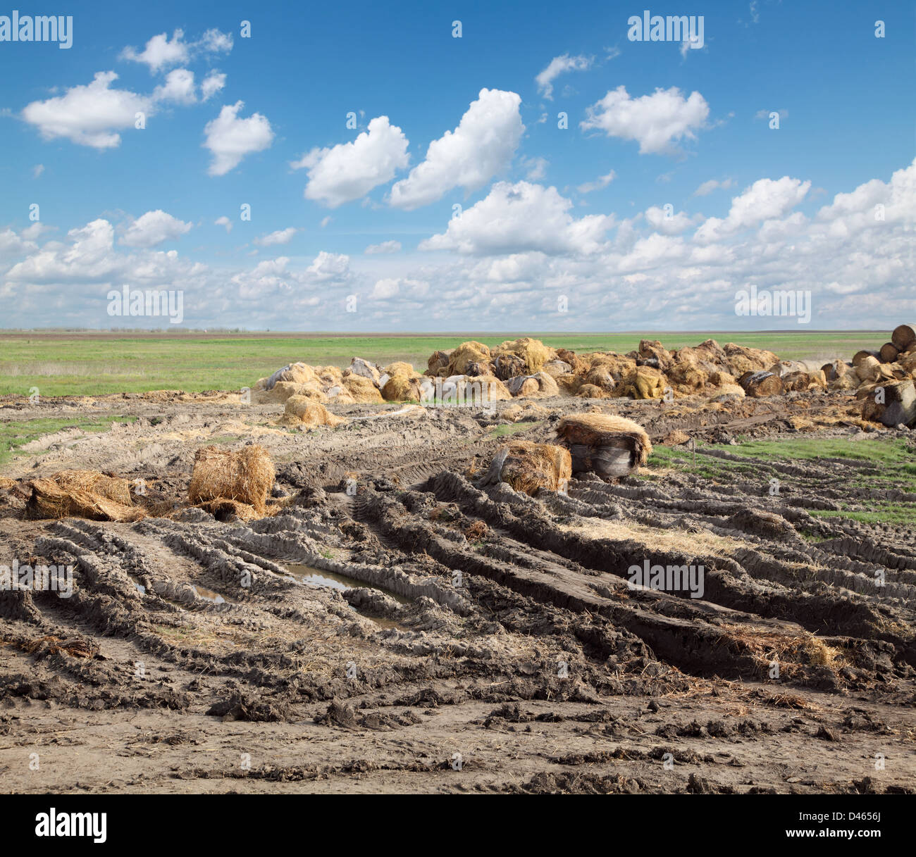 Straw Mud High Resolution Stock Photography and Images Alamy