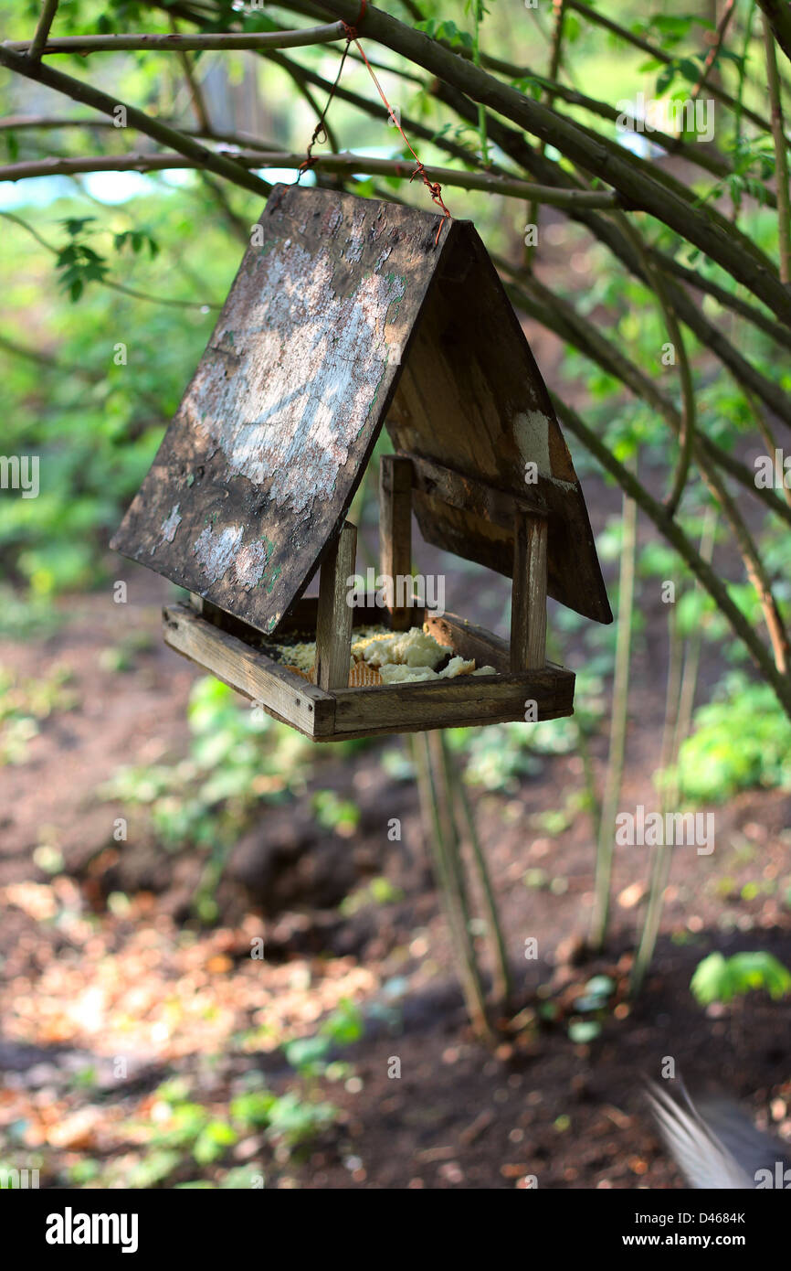 Hand made bird nesting box in the tree with crumbs Stock Photo
