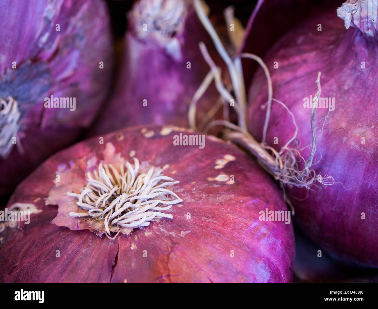 Fresh organic food at the local farmers market. Farmers markets are a ...