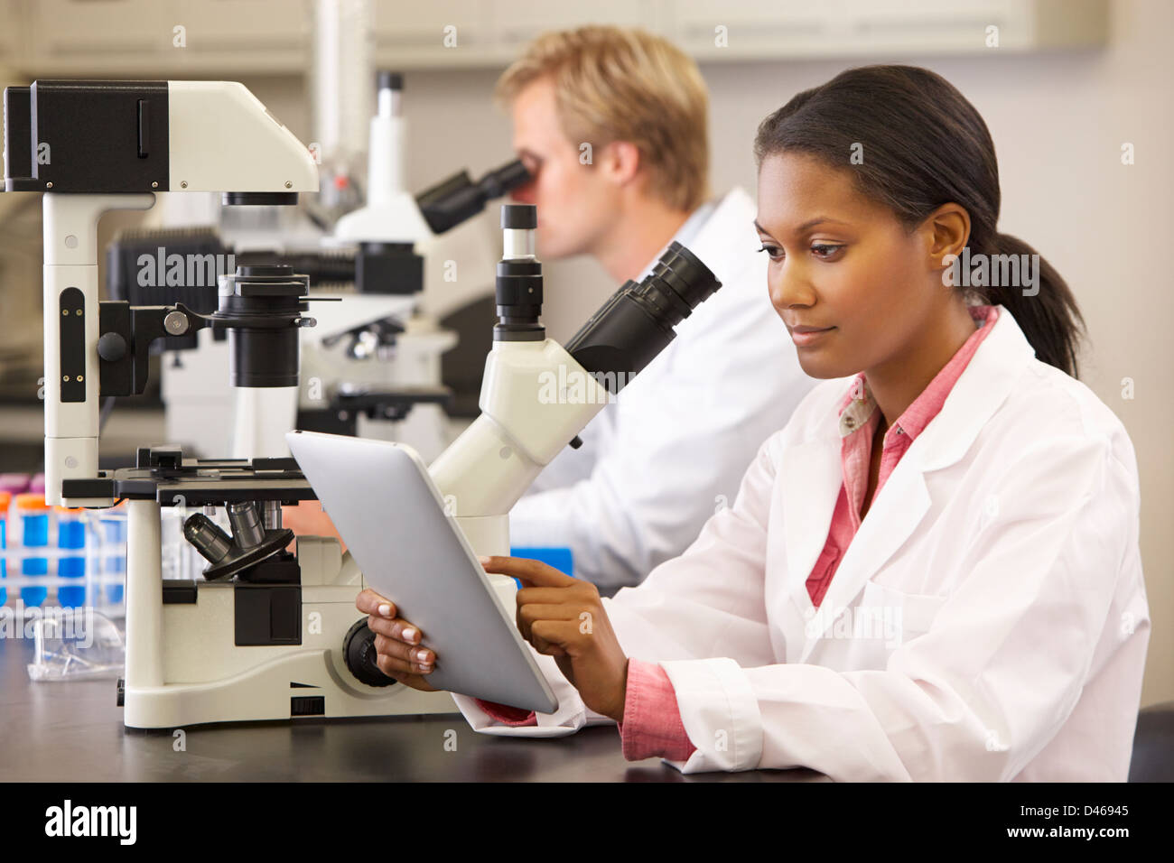 Scientists Using Microscopes  And Digital Tablet In Laboratory Stock Photo