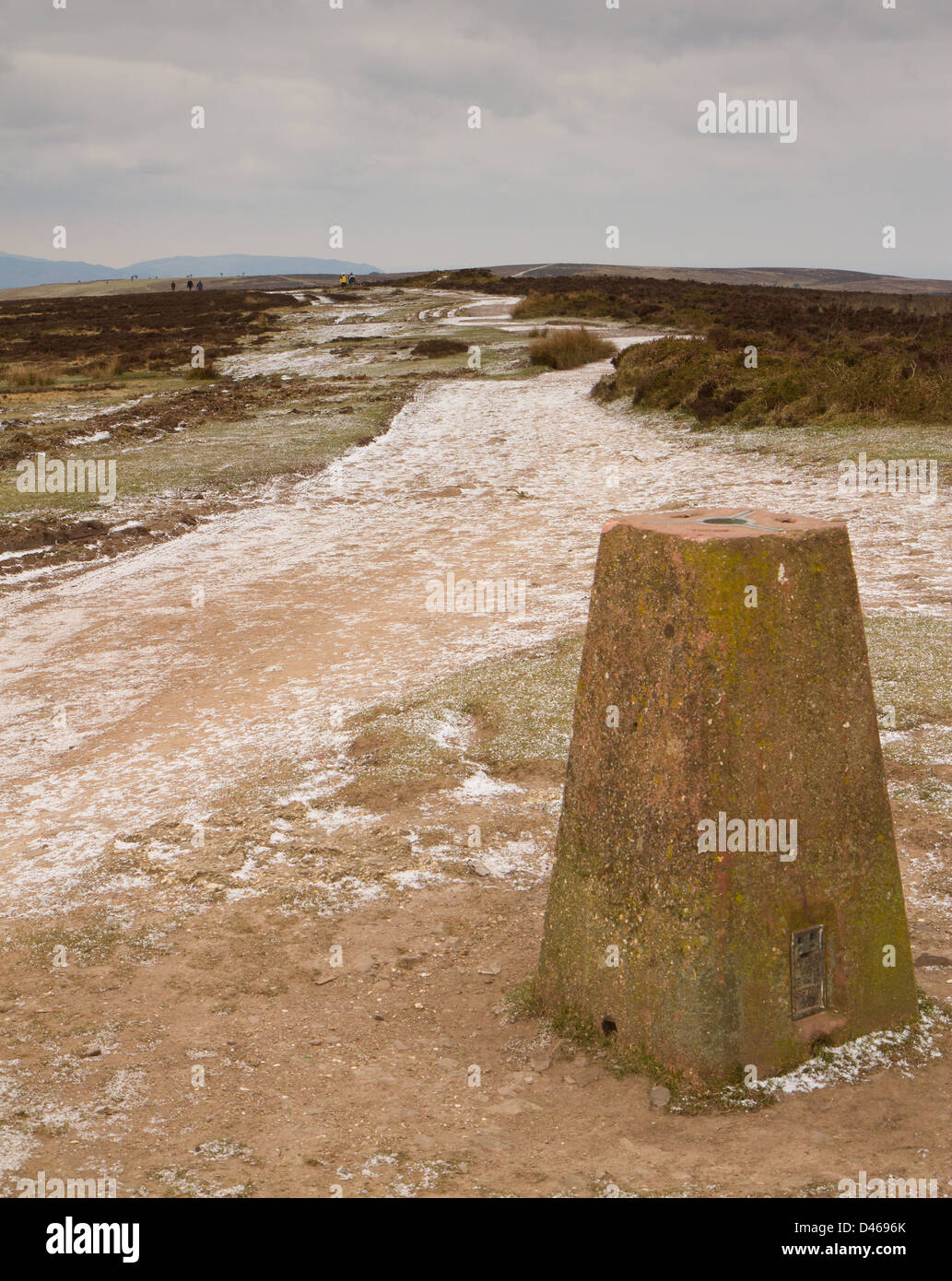 Quantocks Winter Quantocks somerset tree field hi-res stock photography and images - Alamy