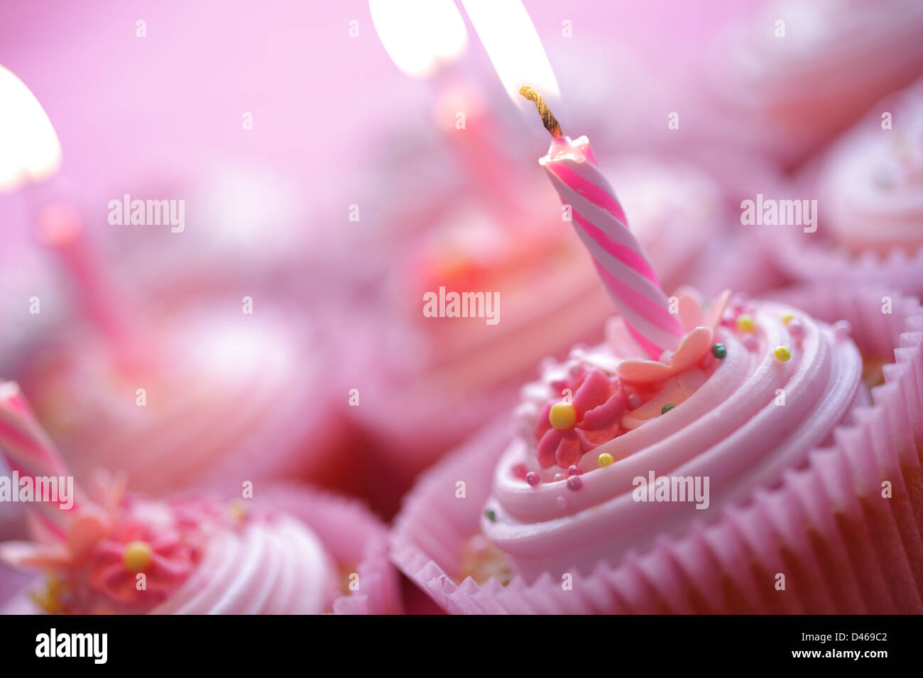 Birthday cupcakes Stock Photo