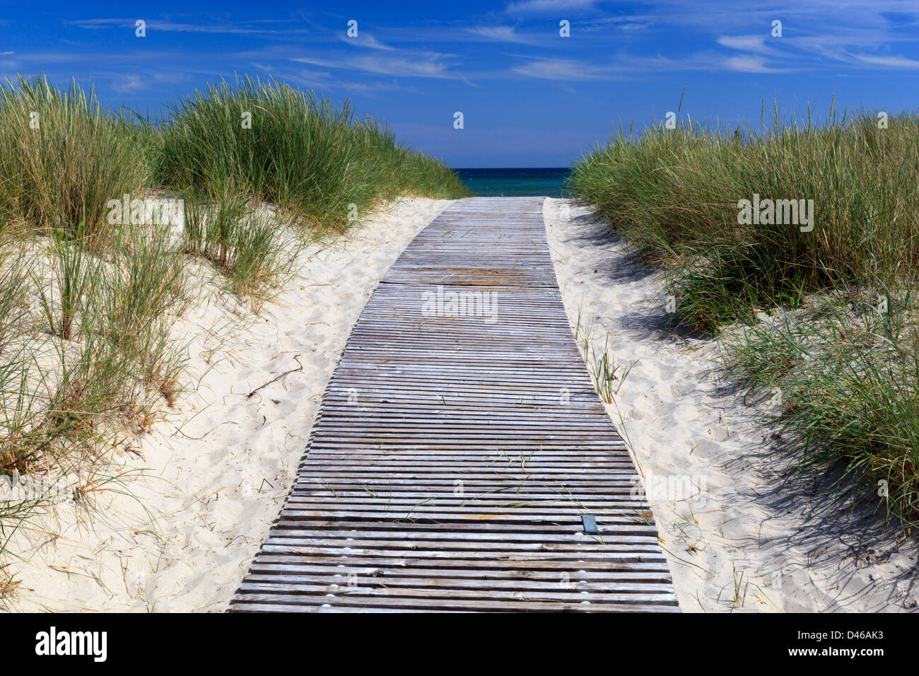 Boardwalk path through sand dunes to beach Stock Photo Alamy