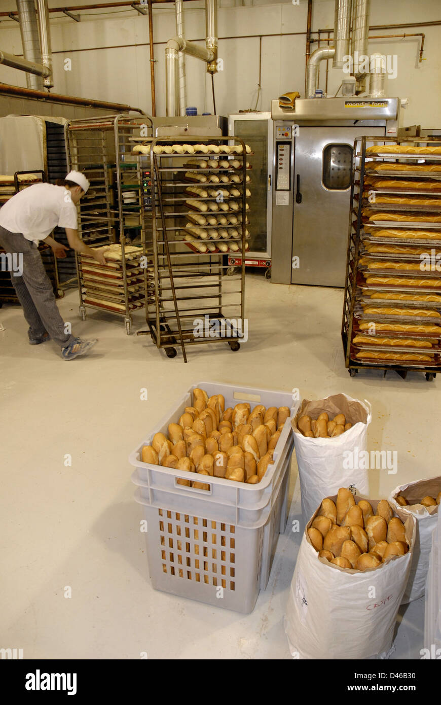 elaboration of artisan bread in the bakery Stock Photo
