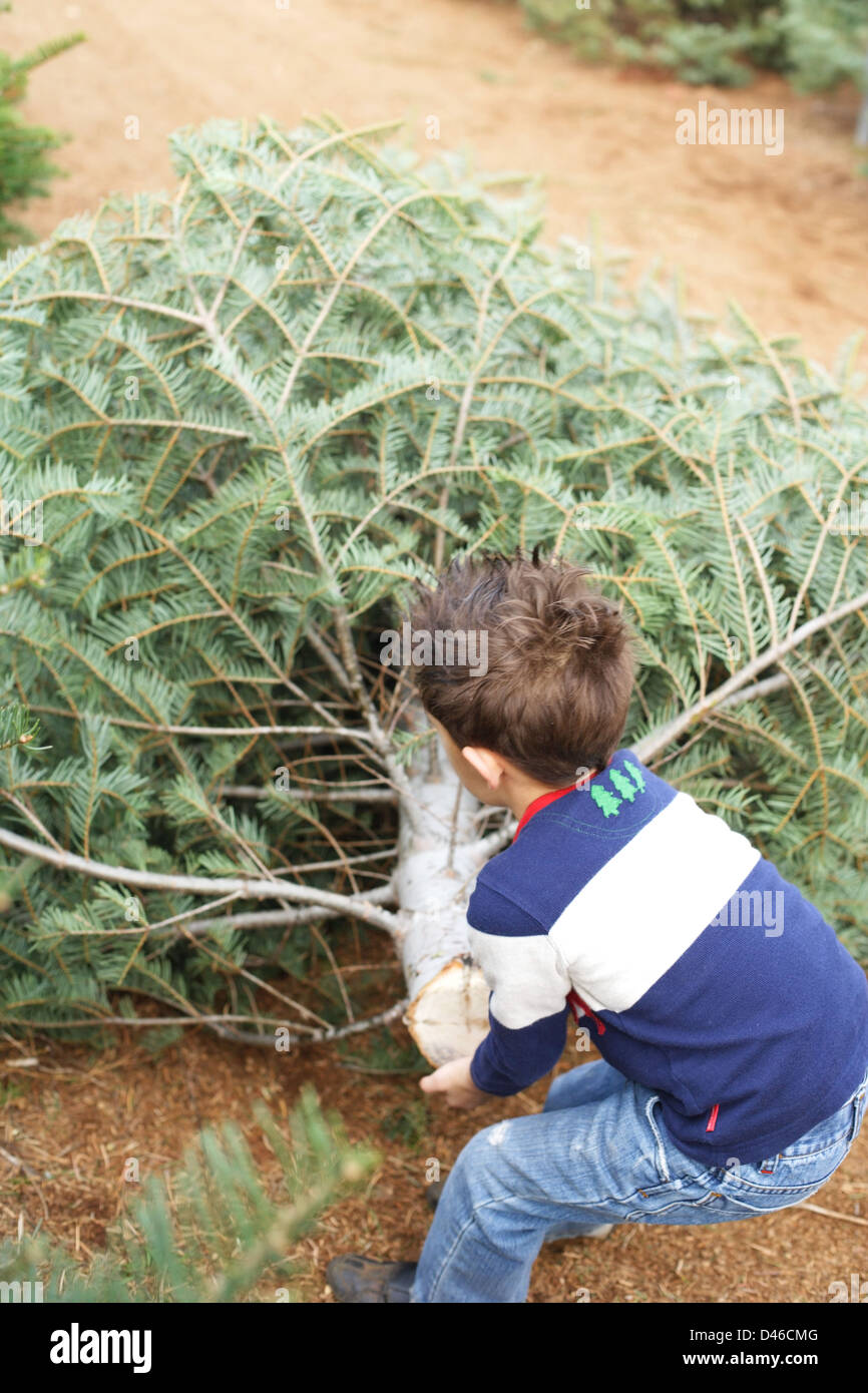 Young boy excited to get the christmas tree home Stock Photo