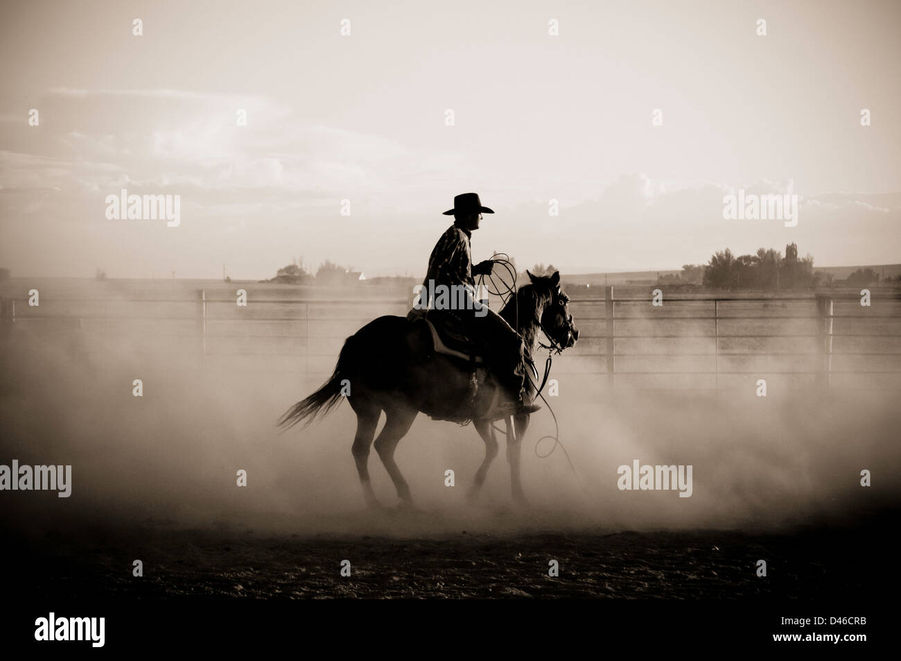 Cowboy riding horse in dusty arena. Black and White. Twin Falls, Idaho. Stock Photo