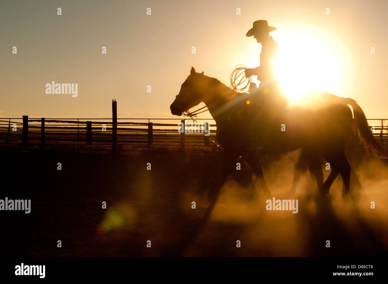 Cowboy with a rope silhouetted while riding horse at sunset. Twin Falls, Idaho. Stock Photo