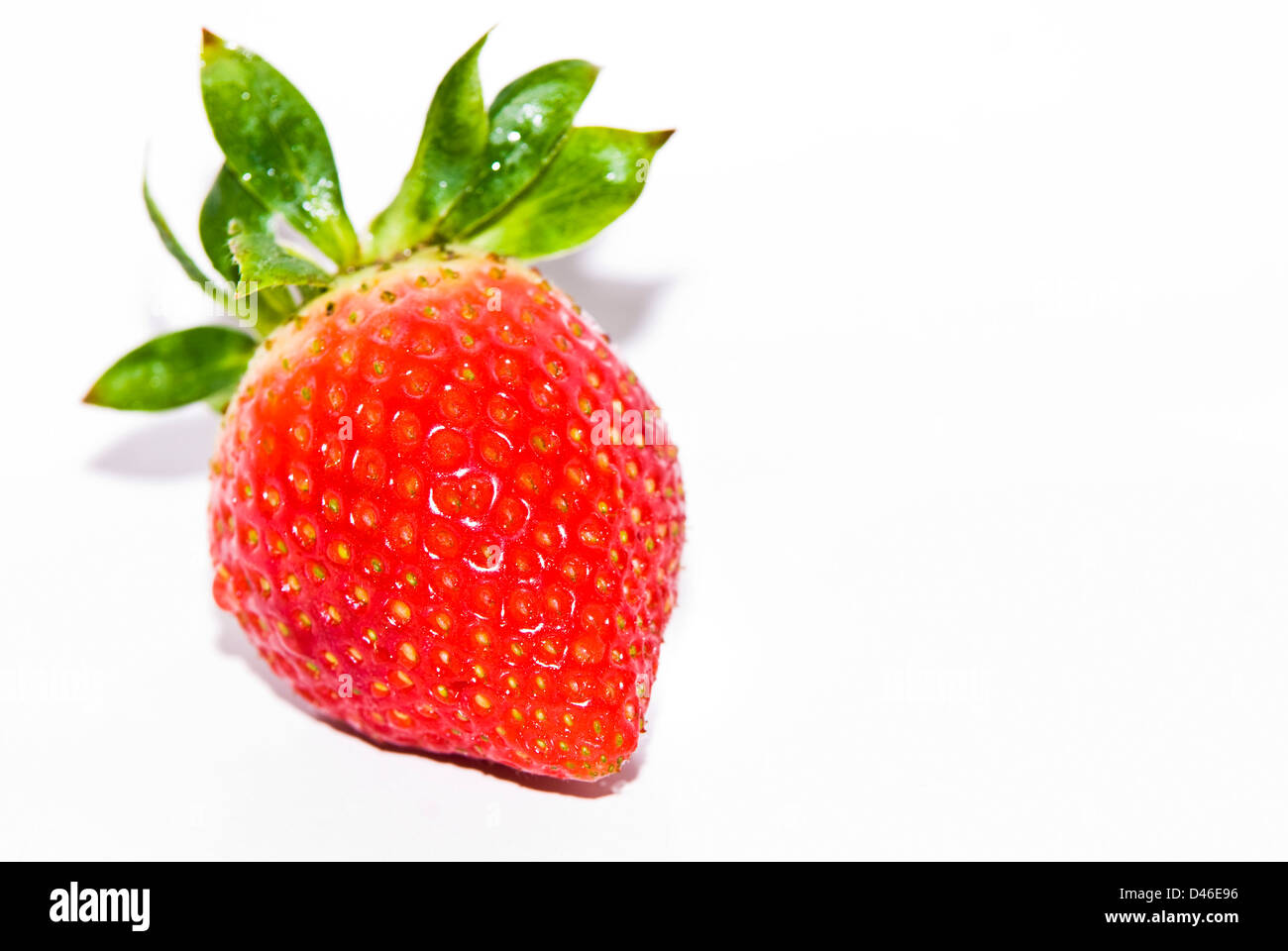 Beautiful ripe juicy strawberry on hi-res stock photography and images ...