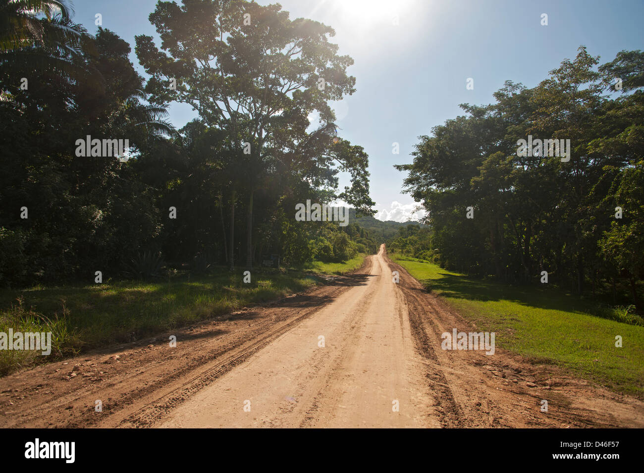 Road into the Mountain Pine Ridge, Belize Stock Photo