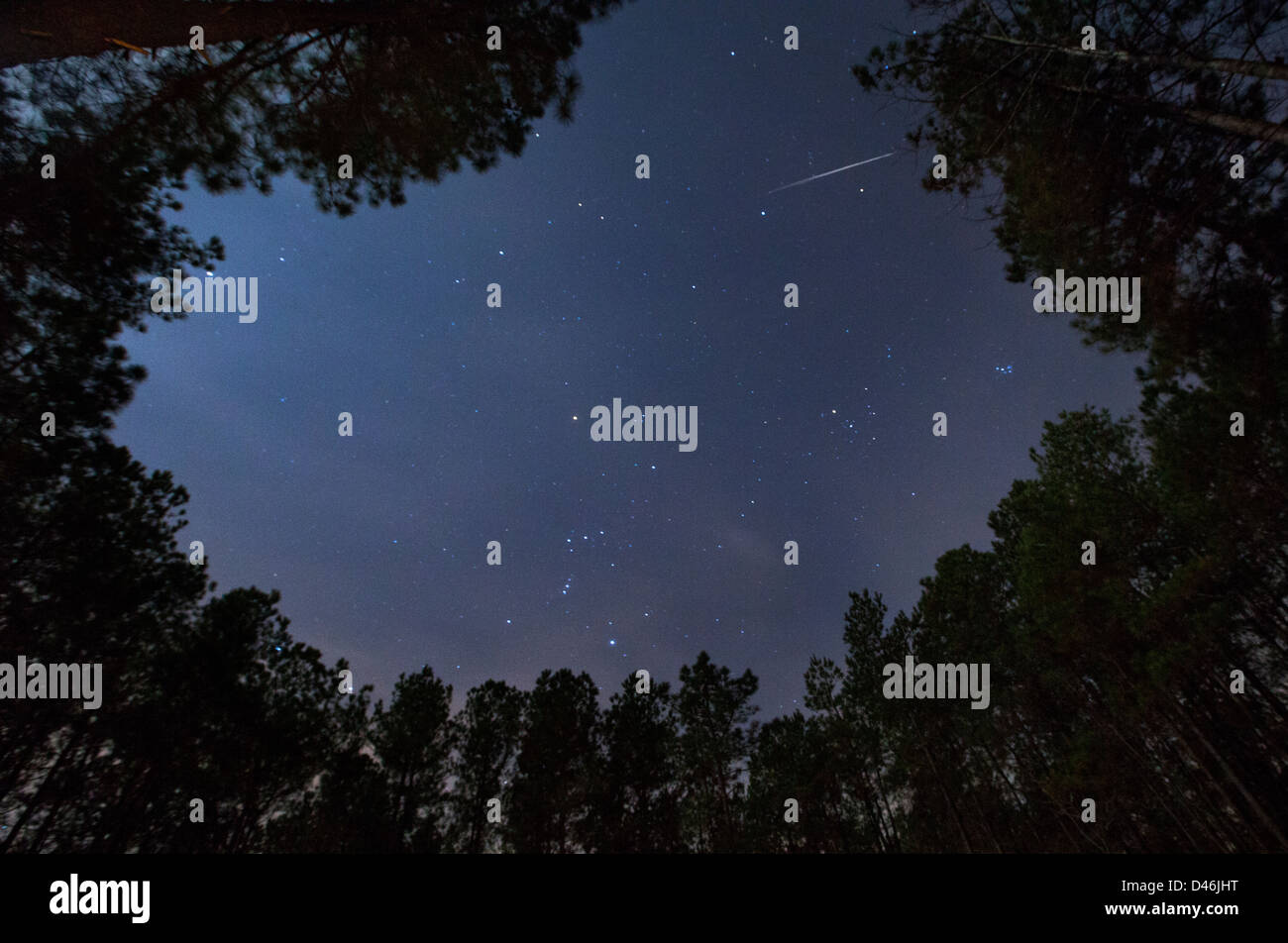 A December night sky with Geminid Meteor Stock Photo
