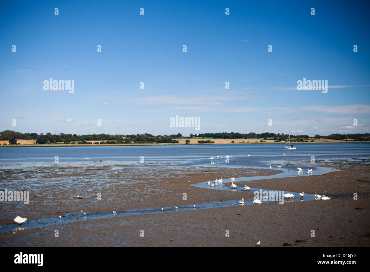 Manningtree River Stour Estuary Stock Photo Alamy
