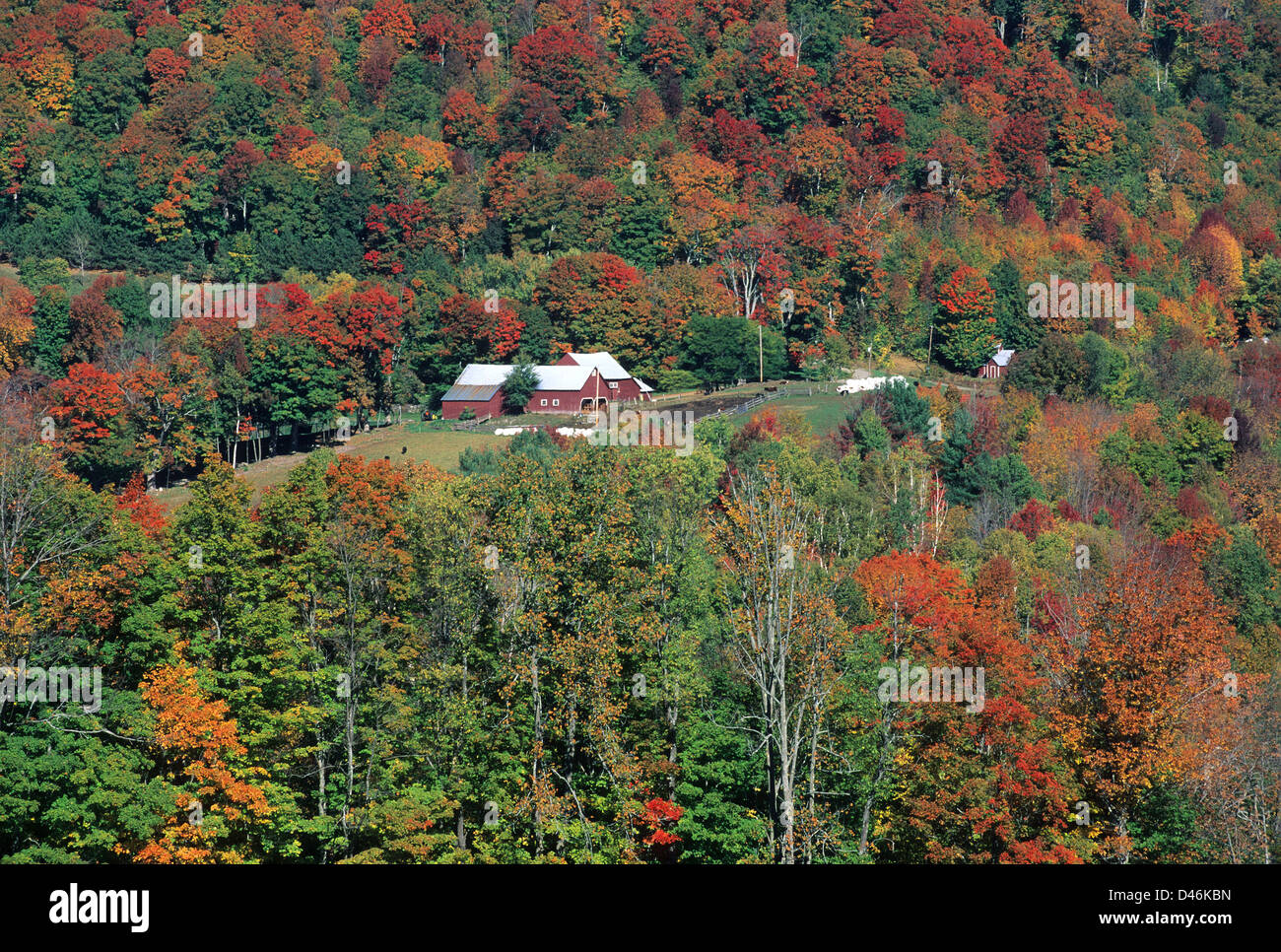 Elk280-1260 Vermont, Pomfret, countryside with autumn foliage Stock Photo