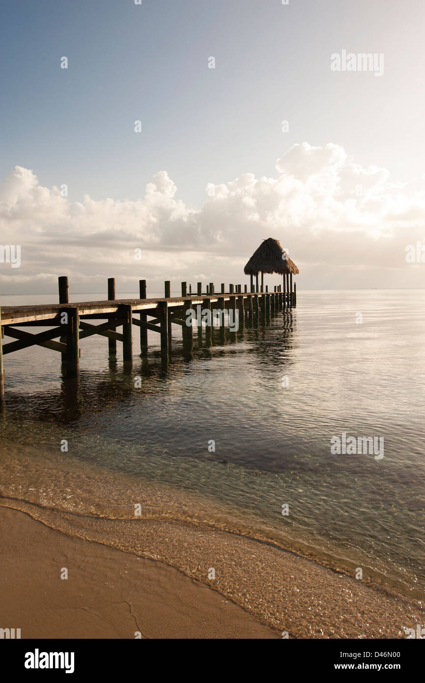 Turtle Inn Turtle Inn, on the beach at Placencia Stock Photo - Alamy