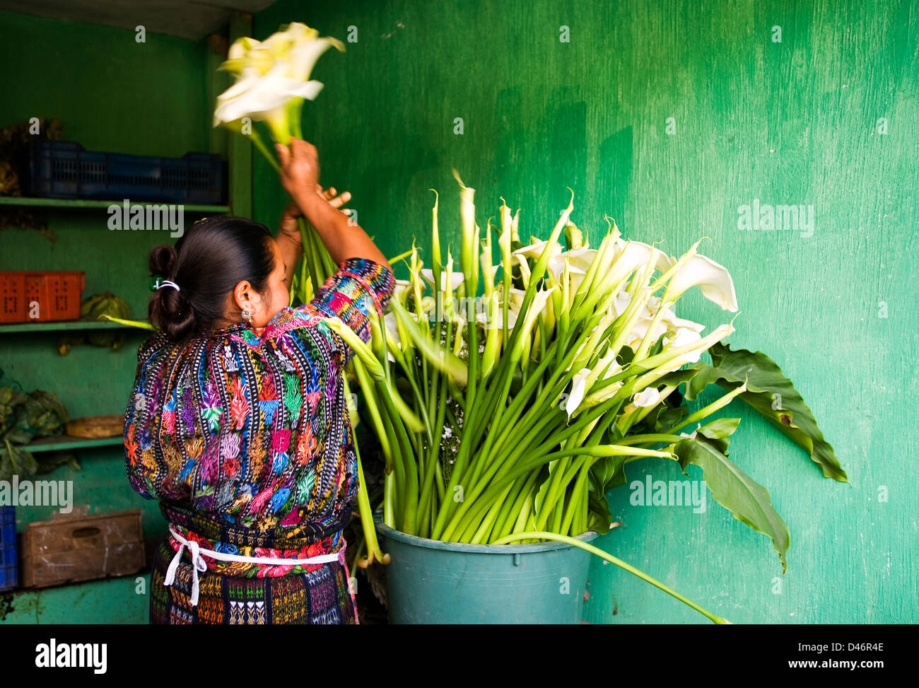 Flower seller in Guatemala Stock Photo Alamy