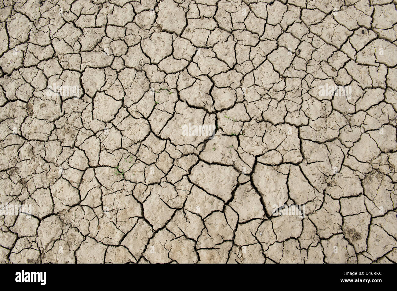Dry cracking clay soil lake bed pattern. Andhra Pradesh, India Stock Photo