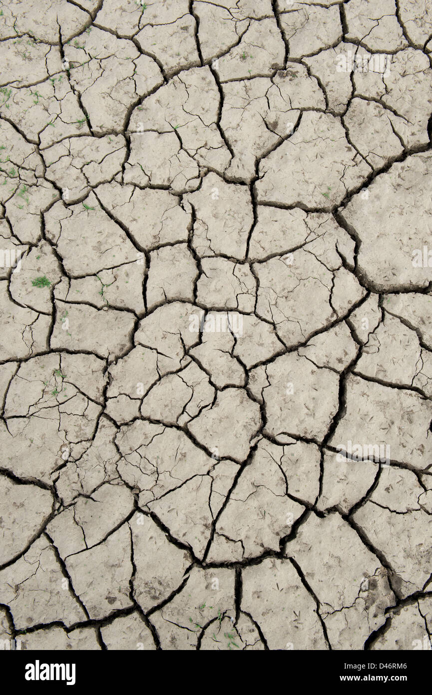 Clay soil with shrinkage cracks hires stock photography and images Alamy