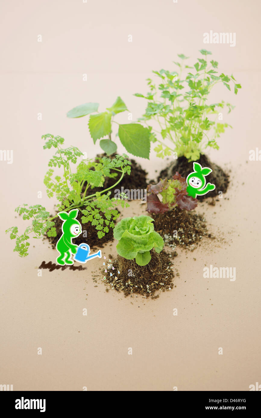 Deep ecology hi-res stock photography and images - Alamy