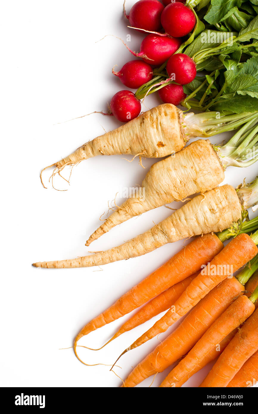 root vegetables on white background Stock Photo Alamy