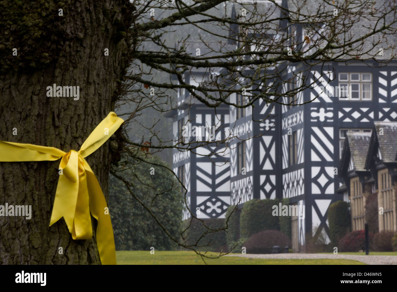 A yellow ribbon tied around a tree at Gregynog Hall, Powys, a