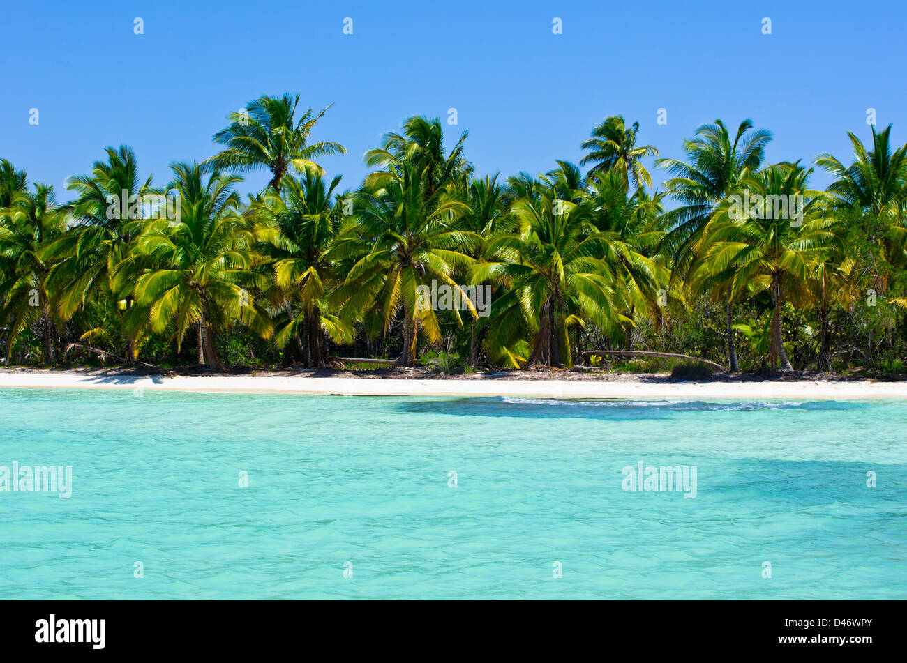 Tropical beach with sea wave on the sand and palm trees Stock Photo - Alamy