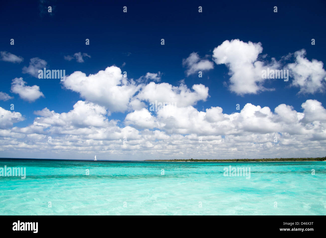 beautiful blue caribbean sea water Stock Photo