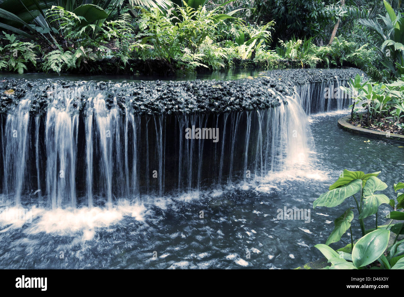 fresh artificial water cascade with rainforest surroundings in Singapore's Botanical garden Stock Photo