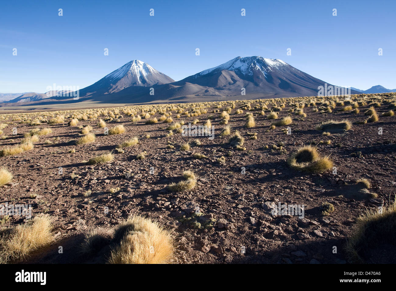 Mountain pass Paso de Jama with volcanoes near San Pedro de Atacama, Chile Stock Photo