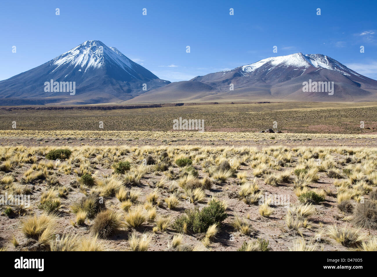 Mountain pass Paso de Jama with volcanoes near San Pedro de Atacama, Chile Stock Photo