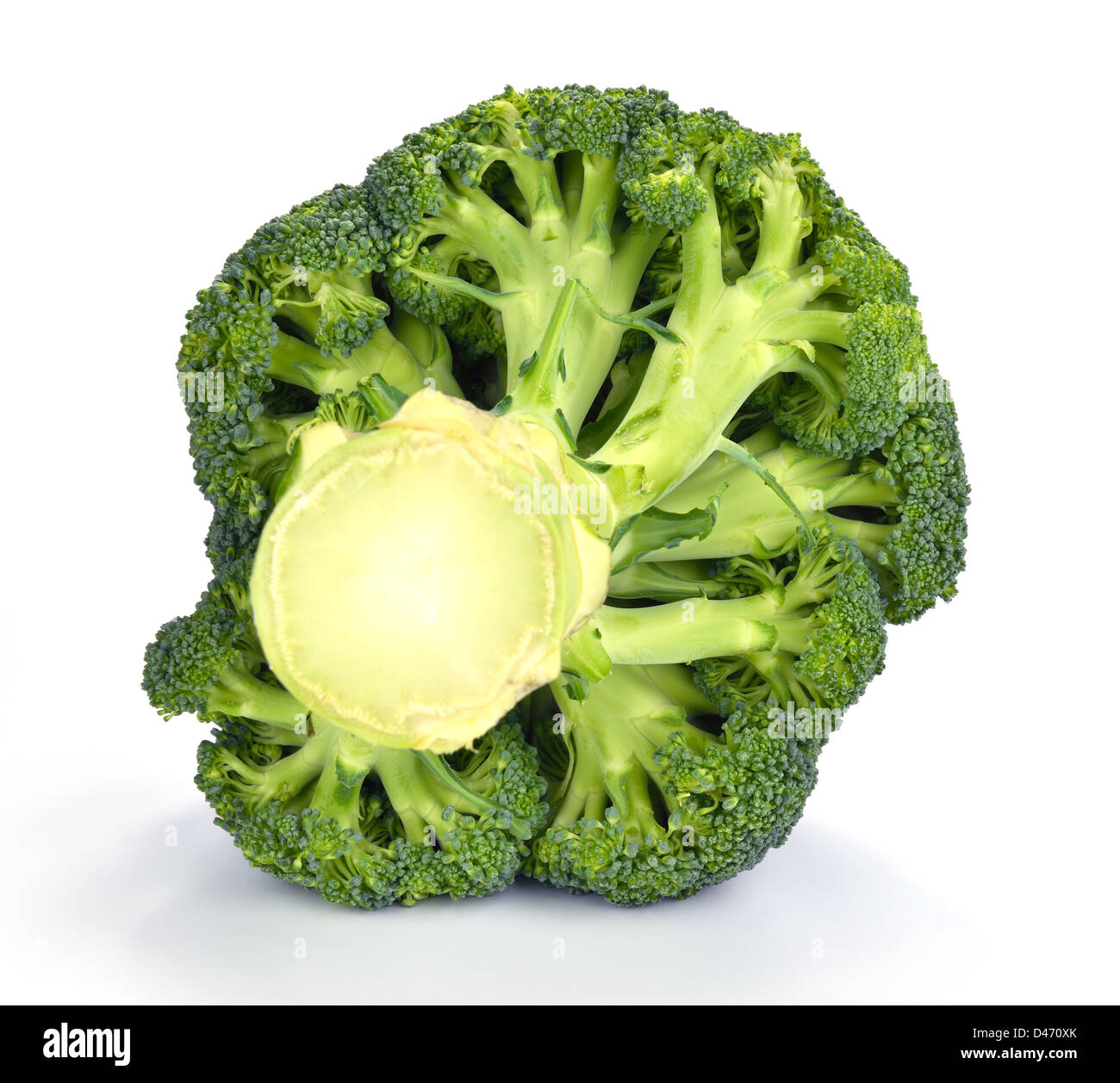100 Common Vegetable Names to Learn in English visual data 2