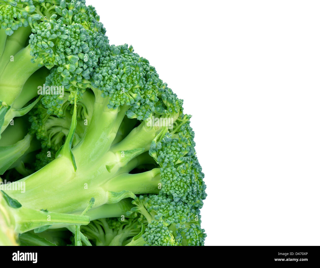 100 Common Vegetable Names to Learn in English visual data 3