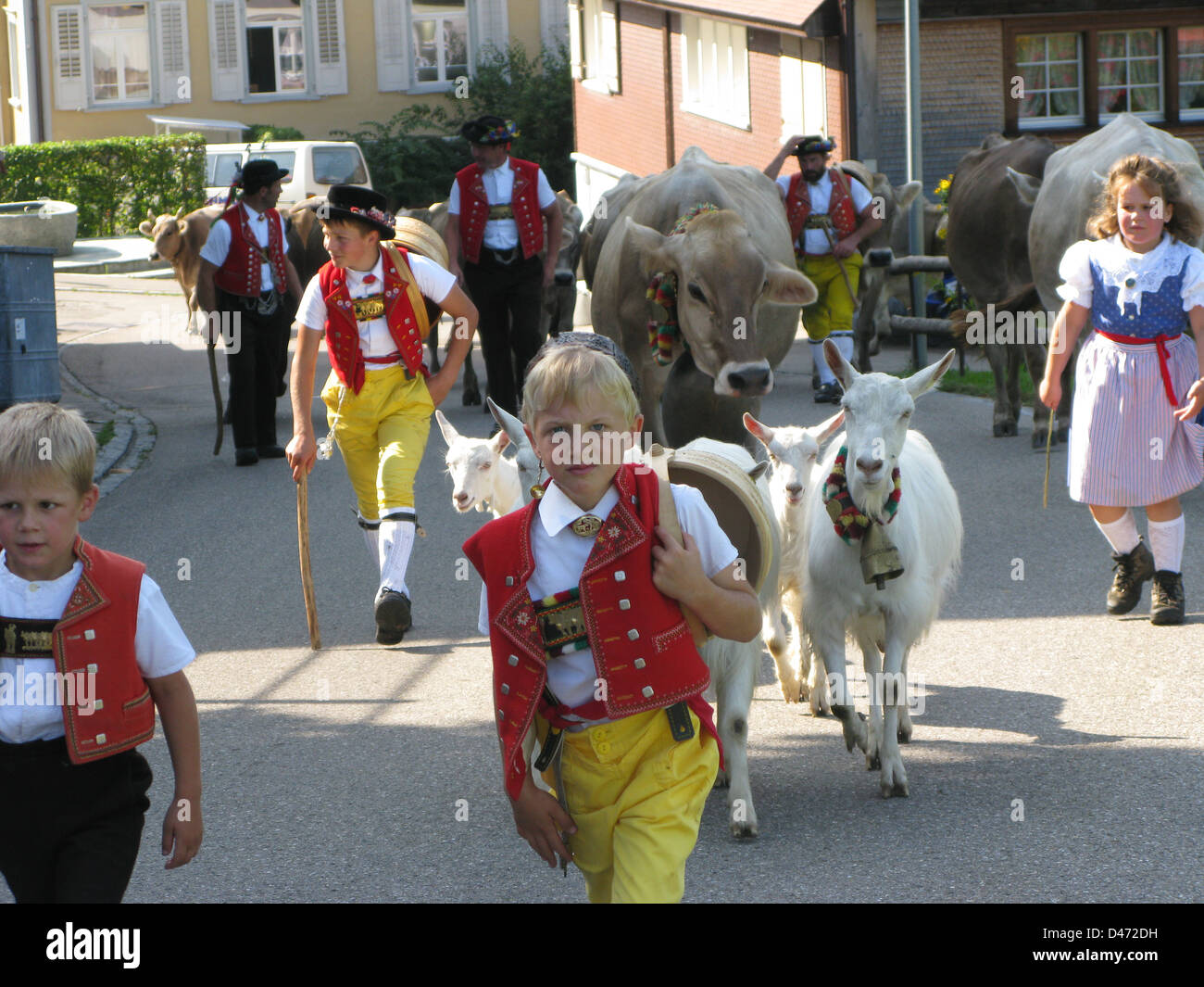 Alpaufzug Switzerland Toggenburg catlle swiss tradition Stock Photo