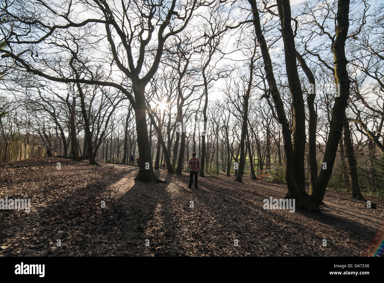 Man through trees hi-res stock photography and images - Alamy