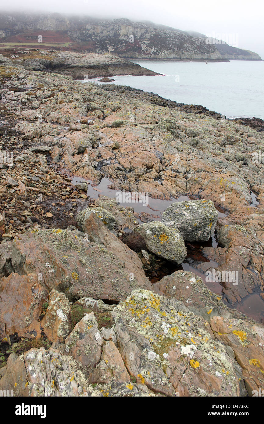Rocky Coastline of Breakwater Country Park, Anglesey Stock Photo